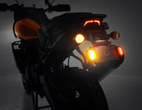 Kit de matrícula con señal de giro trasera T3 Plug-&-Play para Harley-Davidson Pan America 1250